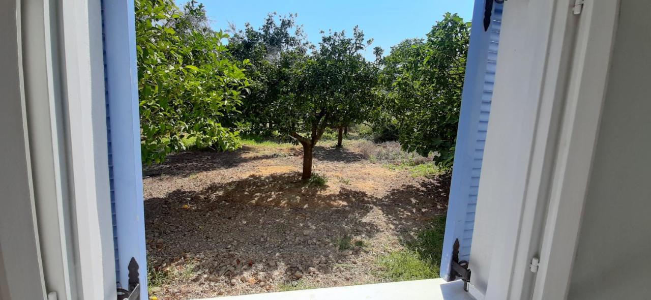 Armonia Apartments Vasiliki  Exterior photo